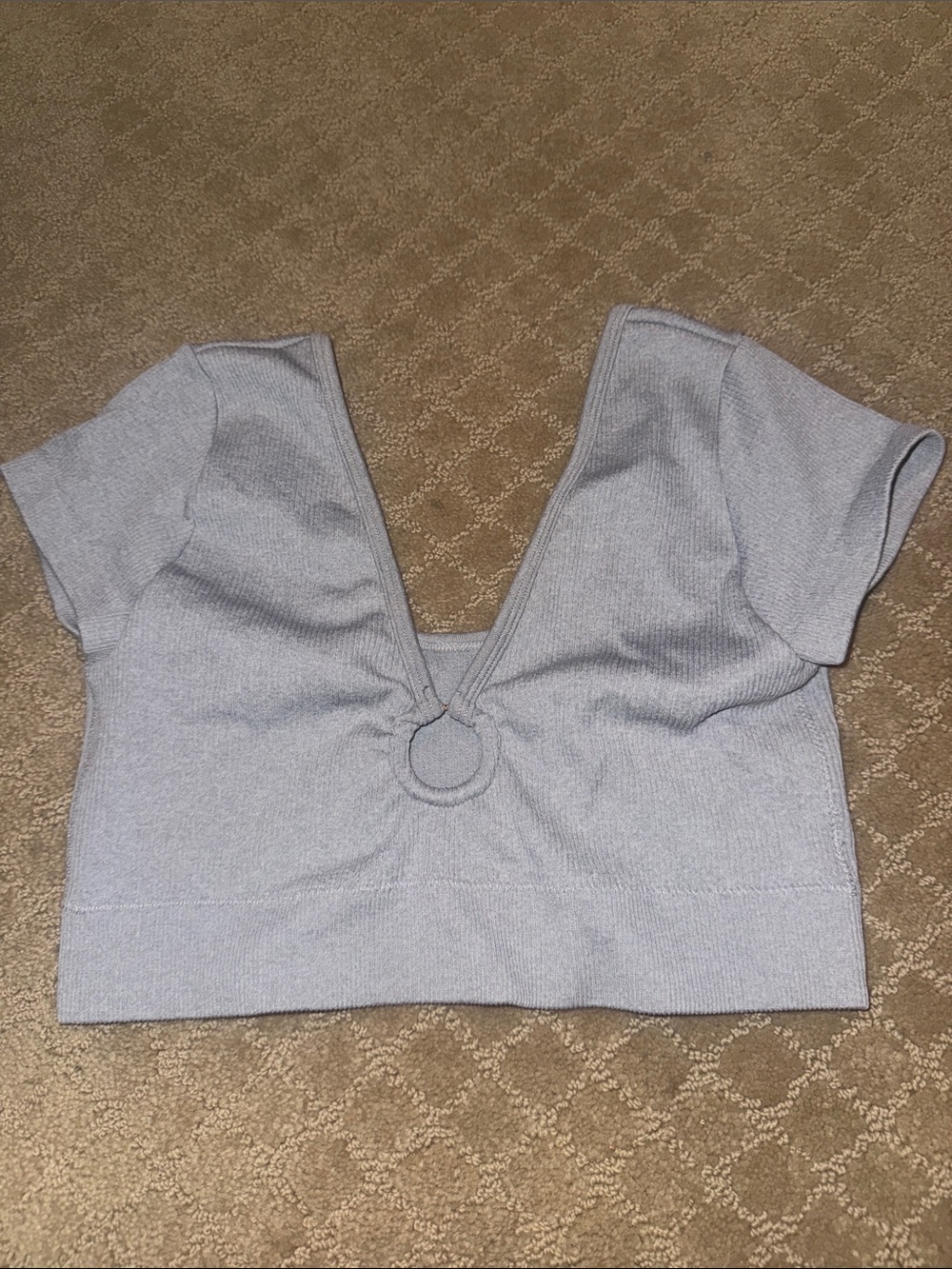 Aerie Gray V-Neck Ring Front Crop